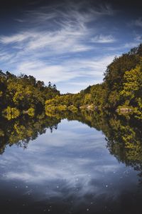 Preview wallpaper trees, reflection, river, sky