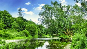 Preview wallpaper trees, river, courses, stones, sky