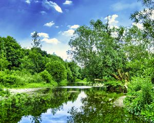 Preview wallpaper trees, river, courses, stones, sky