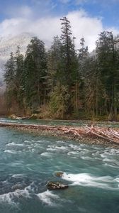 Preview wallpaper trees, river, fir-trees, fog, mountains