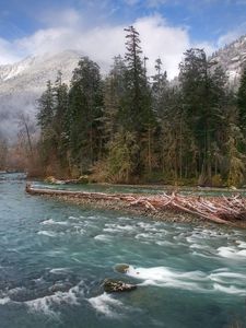 Preview wallpaper trees, river, fir-trees, fog, mountains