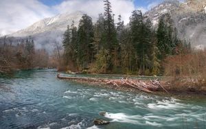 Preview wallpaper trees, river, fir-trees, fog, mountains