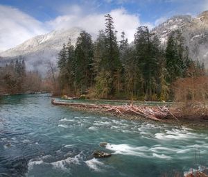 Preview wallpaper trees, river, fir-trees, fog, mountains