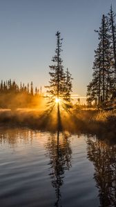 Preview wallpaper trees, river, fog, sunrise, nature