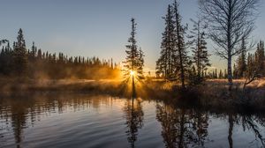 Preview wallpaper trees, river, fog, sunrise, nature