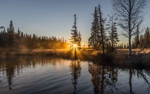 Preview wallpaper trees, river, fog, sunrise, nature