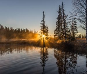 Preview wallpaper trees, river, fog, sunrise, nature