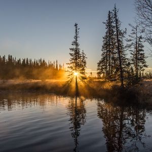 Preview wallpaper trees, river, fog, sunrise, nature