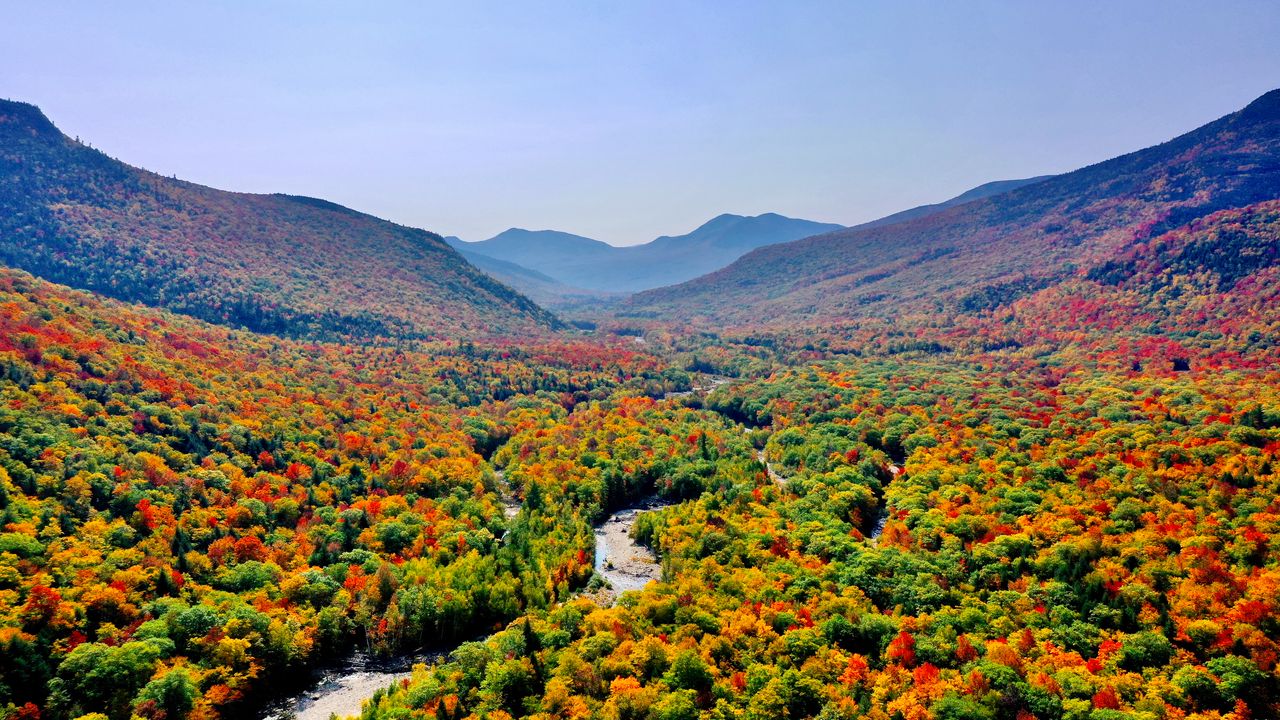 Wallpaper trees, river, forest, mountains, autumn