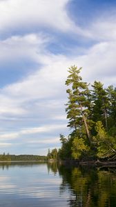 Preview wallpaper trees, river, forest, distance, sky