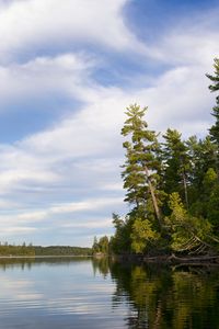 Preview wallpaper trees, river, forest, distance, sky