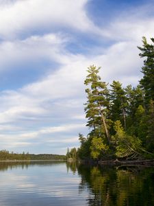 Preview wallpaper trees, river, forest, distance, sky