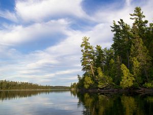 Preview wallpaper trees, river, forest, distance, sky