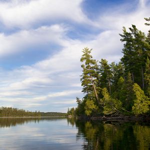 Preview wallpaper trees, river, forest, distance, sky