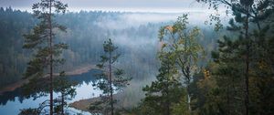 Preview wallpaper trees, river, forest, landscape