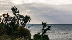 Preview wallpaper trees, river, grass, horizon, sky