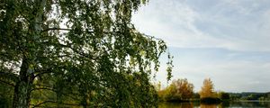 Preview wallpaper trees, river, grass, summer