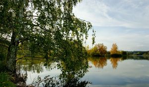 Preview wallpaper trees, river, grass, summer