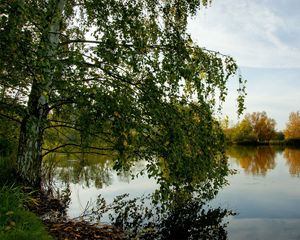 Preview wallpaper trees, river, grass, summer