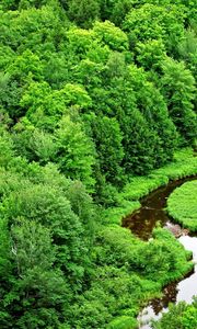 Preview wallpaper trees, river, greens, bends, wood