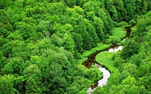 Preview wallpaper trees, river, greens, bends, wood