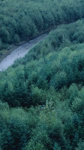 Preview wallpaper trees, river, height, wood, coniferous, green, tops