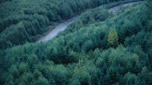 Preview wallpaper trees, river, height, wood, coniferous, green, tops