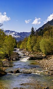 Preview wallpaper trees, river, mountains, rocks, nature