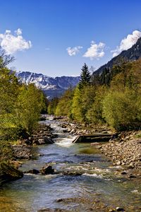 Preview wallpaper trees, river, mountains, rocks, nature