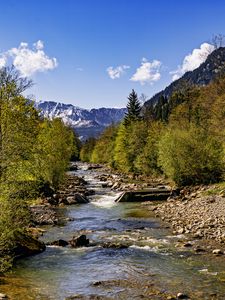 Preview wallpaper trees, river, mountains, rocks, nature