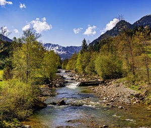 Preview wallpaper trees, river, mountains, rocks, nature