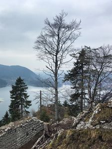 Preview wallpaper trees, river, mountains, landscape, view