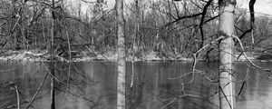 Preview wallpaper trees, river, nature, spring, black and white