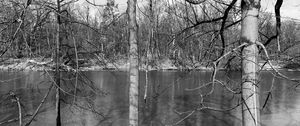 Preview wallpaper trees, river, nature, spring, black and white