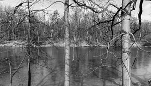 Preview wallpaper trees, river, nature, spring, black and white