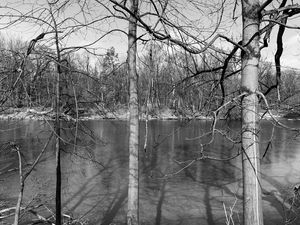 Preview wallpaper trees, river, nature, spring, black and white