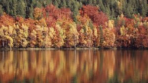 Preview wallpaper trees, river, reflection