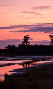 Preview wallpaper trees, river, shore, silhouettes, evening