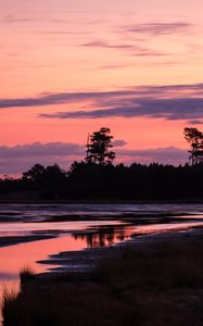 Preview wallpaper trees, river, shore, silhouettes, evening