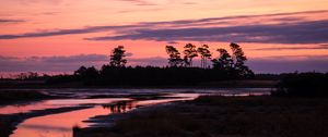 Preview wallpaper trees, river, shore, silhouettes, evening