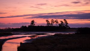 Preview wallpaper trees, river, shore, silhouettes, evening