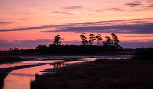 Preview wallpaper trees, river, shore, silhouettes, evening