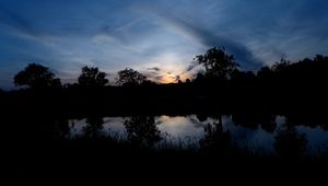 Preview wallpaper trees, river, silhouette, grass, night