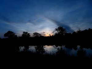 Preview wallpaper trees, river, silhouette, grass, night