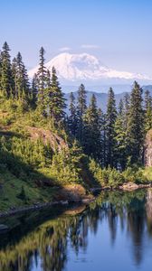 Preview wallpaper trees, river, slope, mountain, nature