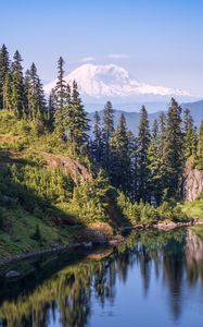 Preview wallpaper trees, river, slope, mountain, nature