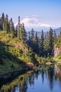 Preview wallpaper trees, river, slope, mountain, nature