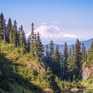 Preview wallpaper trees, river, slope, mountain, nature