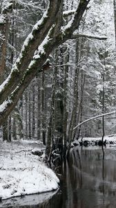 Preview wallpaper trees, river, snow, winter, forest