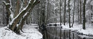 Preview wallpaper trees, river, snow, winter, forest